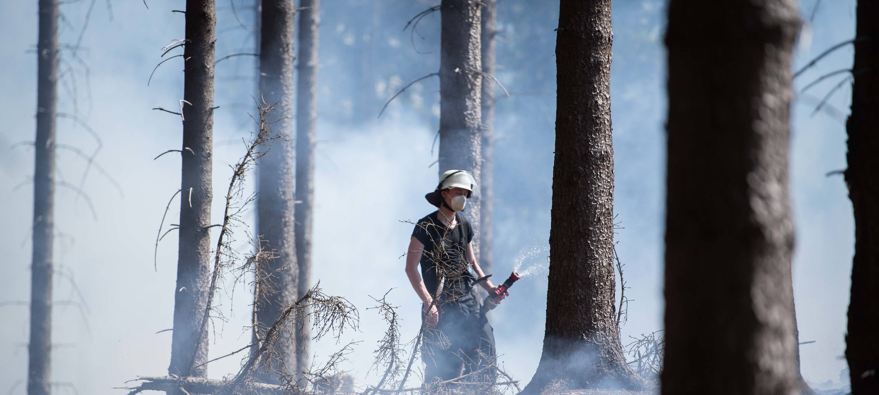 Waldbrand Nähe Jugendherberge Bad Münstereifel