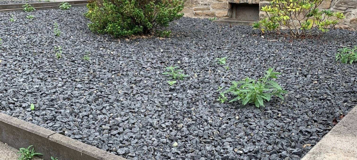 Mit Fördergeld gegen versiegelte Flächen