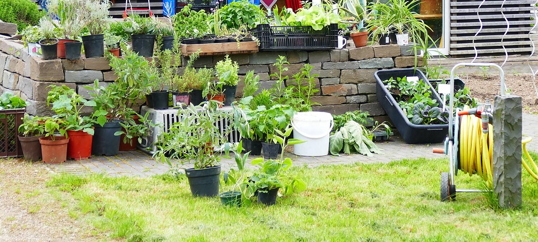 24.04. Pflanzentauschtreffen