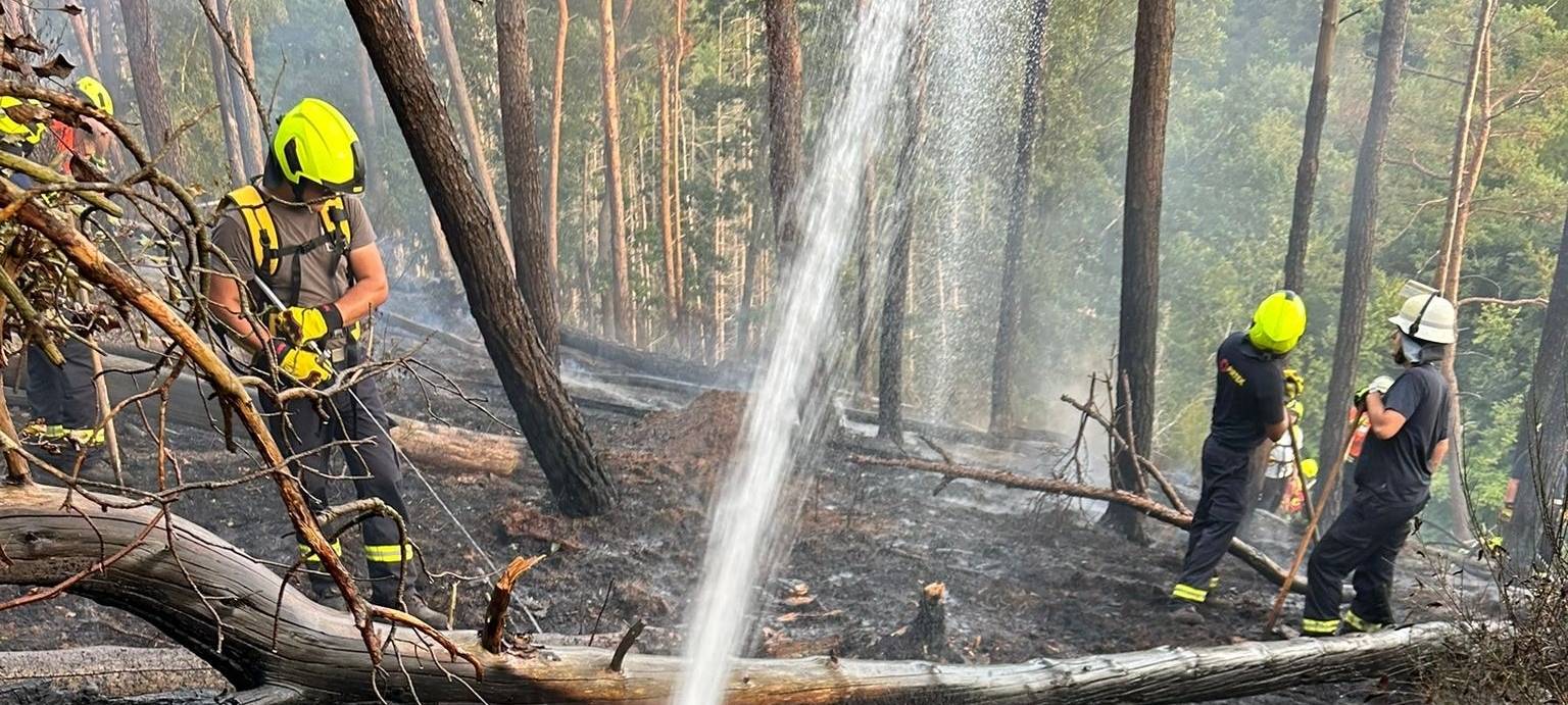 Große Waldbrandübung der Feuerwehren im Kreis