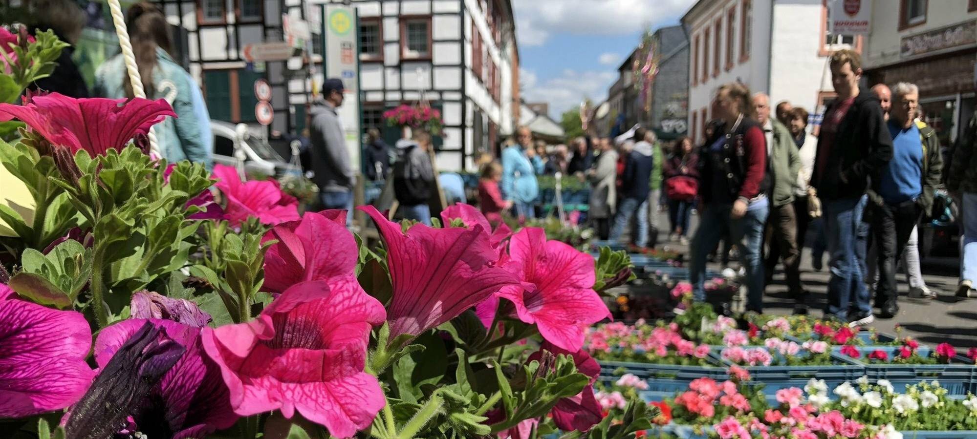 10.05. Blumen- und Kleintiermarkt