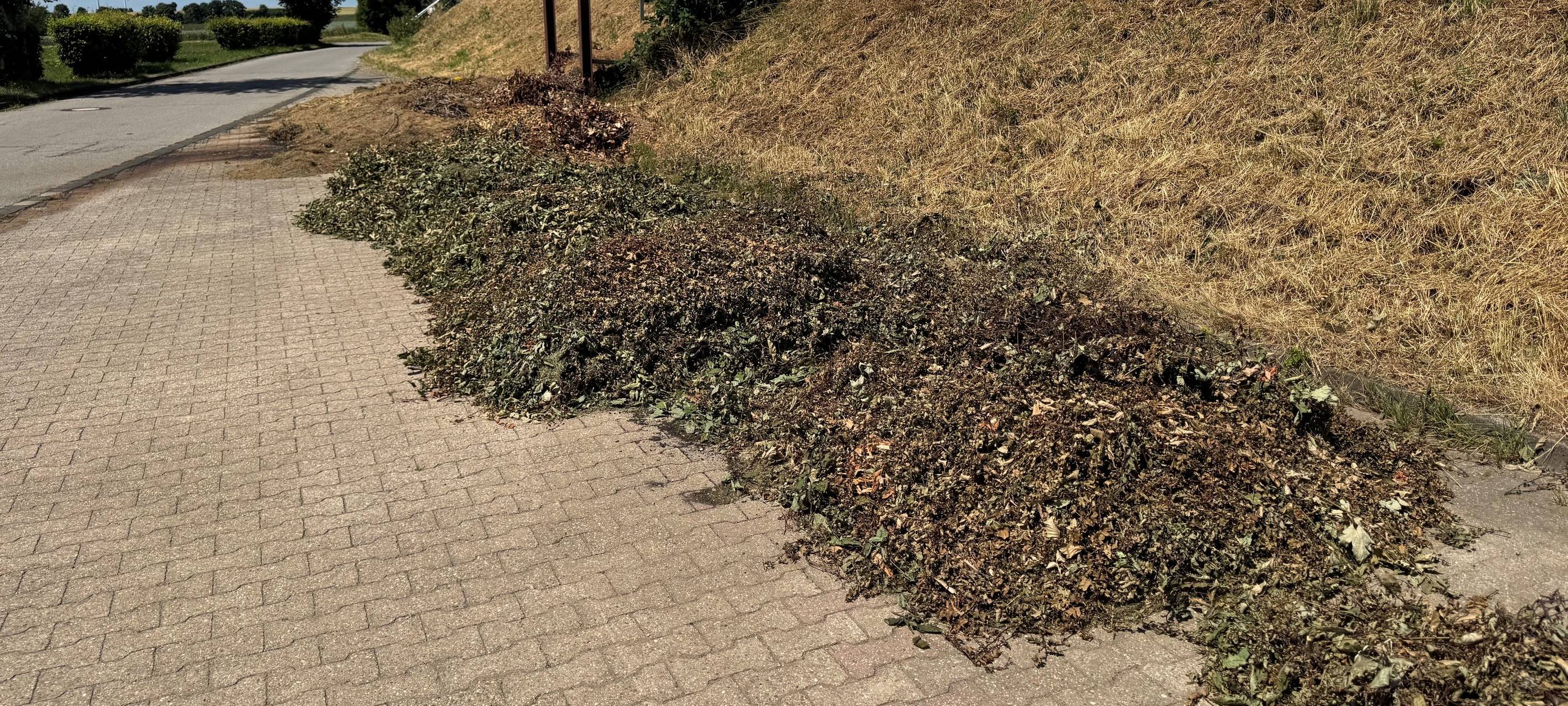 Grünabfälle vermüllen Parkplatz in Dreiborn