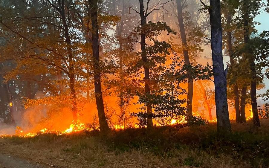 Live Ticker: Waldbrand bei Hürtgenwald