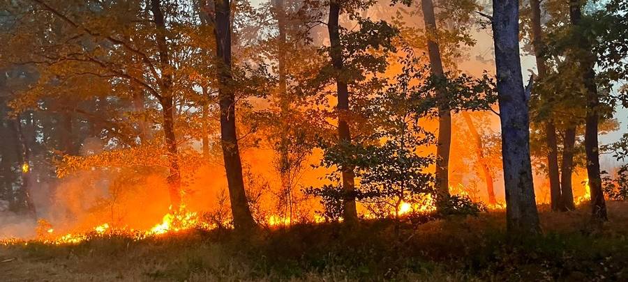 Live Ticker: Waldbrand bei Hürtgenwald